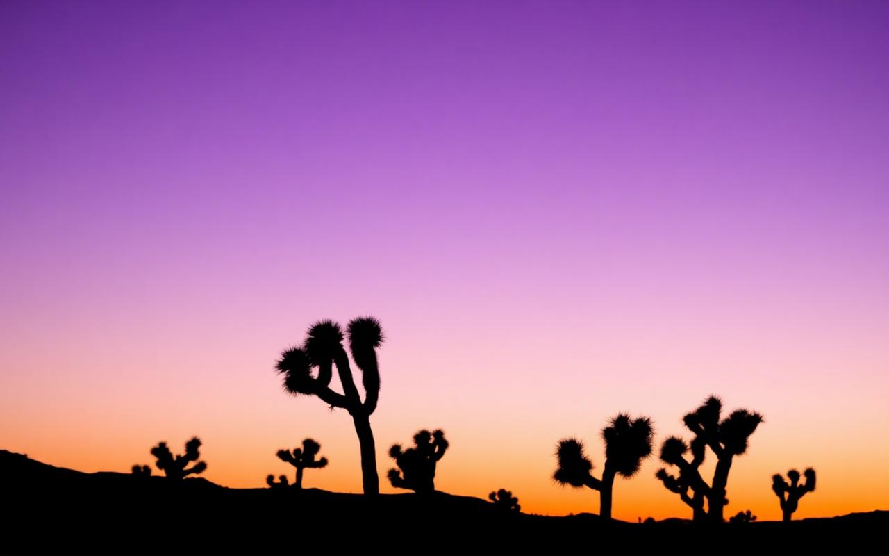 Joshua Tree